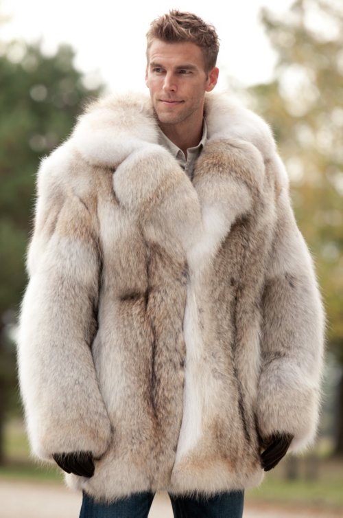 Coyote Fur Coat >> Zack Coyote Fur Coat Coyote Fur Coat >> Zack Coyote Fur Coat