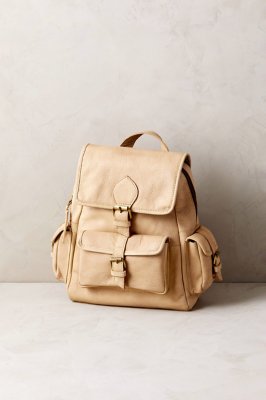 Salem Leather Small Backpack Purse Overland