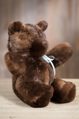 beaver teddy bear