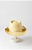 Mojave Toyo Straw Western Hat
