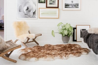 4Pelt (4' x 6') Premium Australian Sheepskin Area Rug Overland