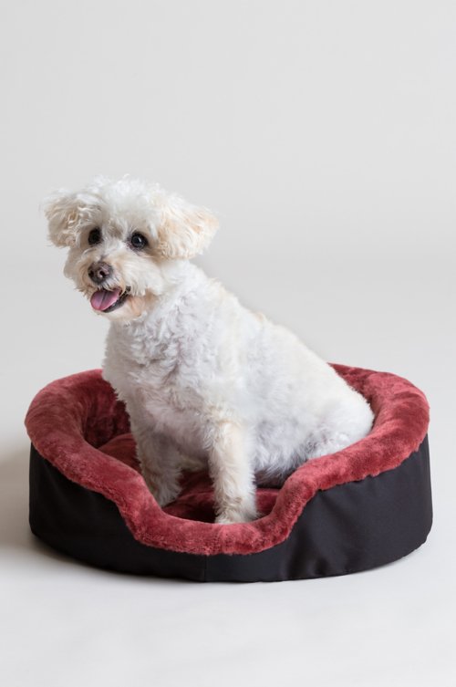 Sheepskin Pet Beds Overland