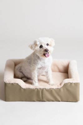 Overland 15" x 21" Medium Sheepskin Pet Bed Overland