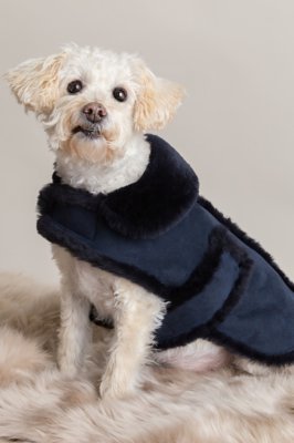 shearling dog coat