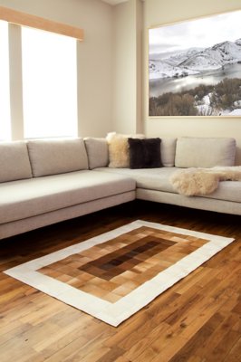 Overland 3.3' x 5.3' Ombre Argentine Cowhide Rug | Overland