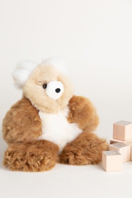 alpaca wool teddy